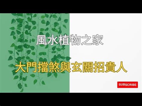 玄關擋煞植物|玄關擋煞植物：改善門前風水的簡單方法 